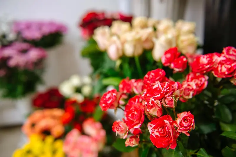 Red and white roses and carnations at an English Gardens florist