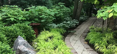 A paver walk through a shade garden of hostas and Japanese forest grass